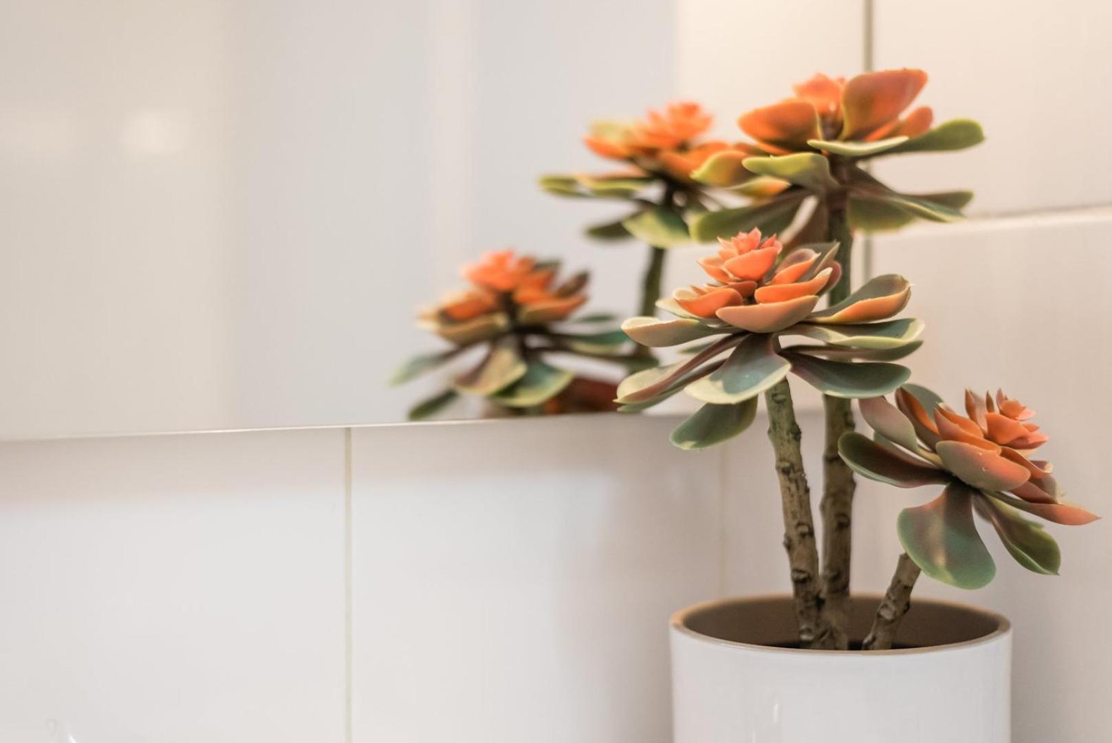 Guestready - Miragaia Green Porto Eksteriør bilde